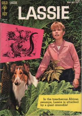 62
