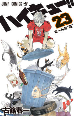 23