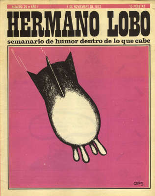 26