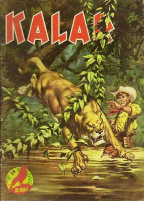 19