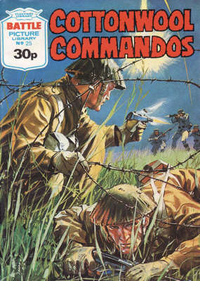 25