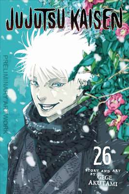 26