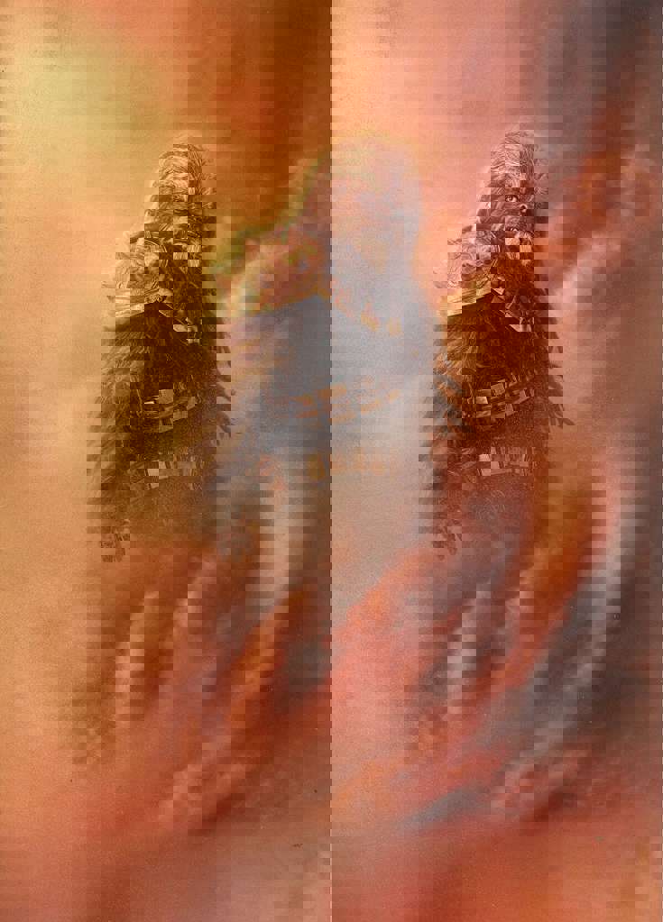 Star Wars Insider #212 Variation C