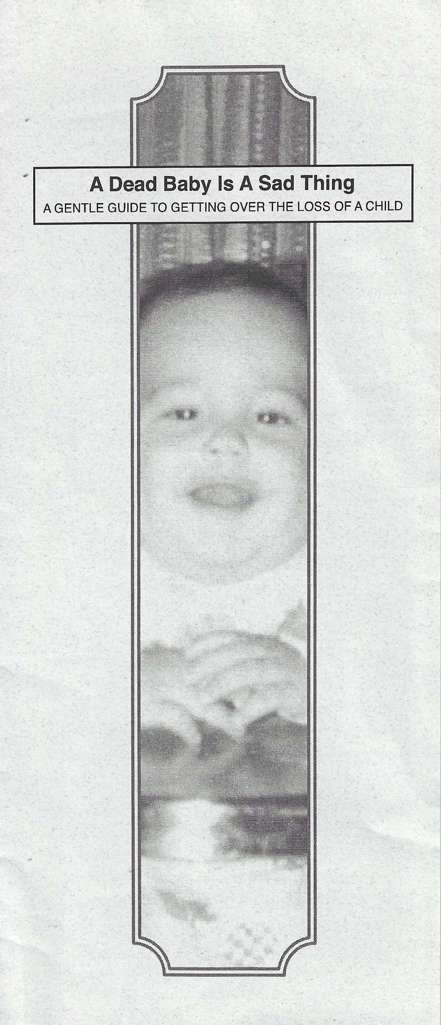 The Carbon Based Mistake Paltry Pamphlet