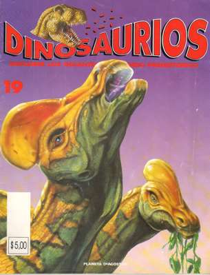19