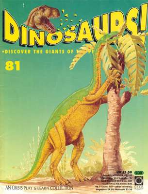 81