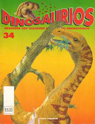 34