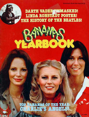 YB 1978