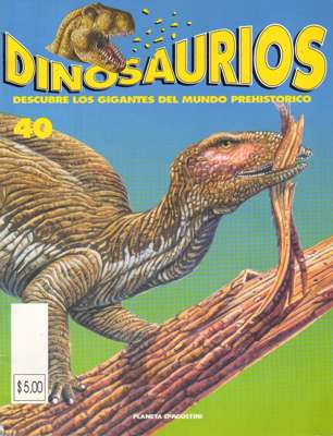 40