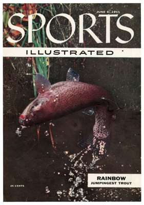 223