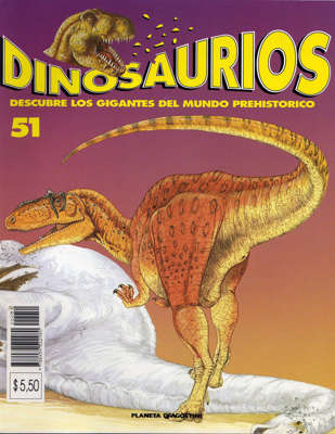 51