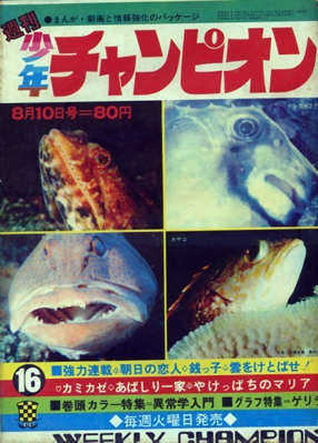 26