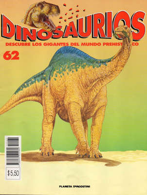 62