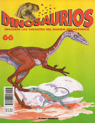 66
